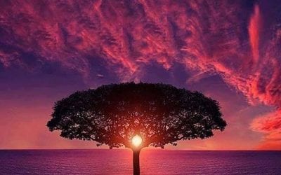 Creating a Positive Future With Words