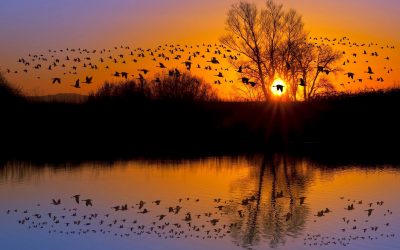 Did It Go As Expected? It’s Time For Reflection