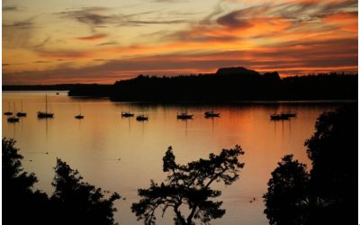 Be Honest – How ARE You???