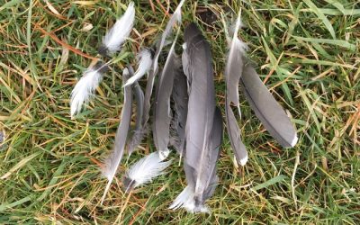 This Week is Potent for Creation