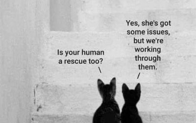 Want More Cuddles and Laughter?