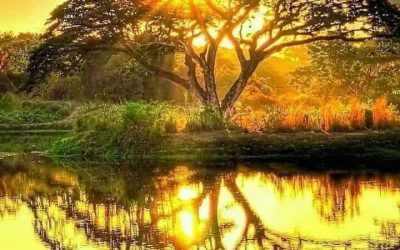 This Can Make You And The World More Peaceful