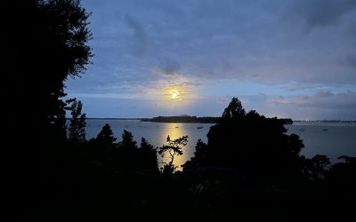 How Often Do You Do This?