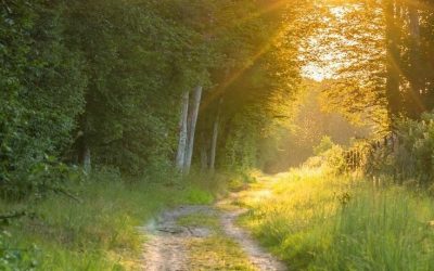 9 Steps into Feeling Free