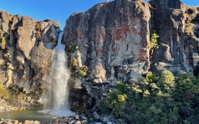 Fasten Your Seatbelt! A Winter Solstice Retreat…