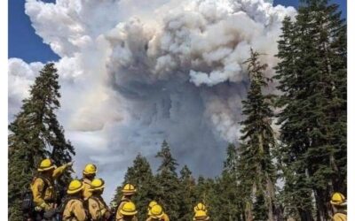 I’ve Had The Most Emotional Week Of My Life