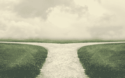 Are You Feeling The Division?