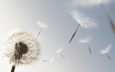 A Gift Of Gratitude For You