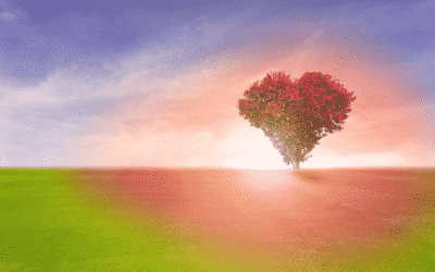 How often do you say these words?