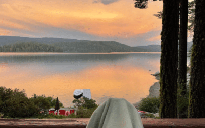 Have you noticed this too?