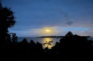 Moon rising over the water, with dark trees silhouetting.