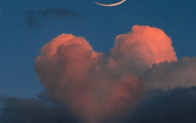 Imagine a world like this