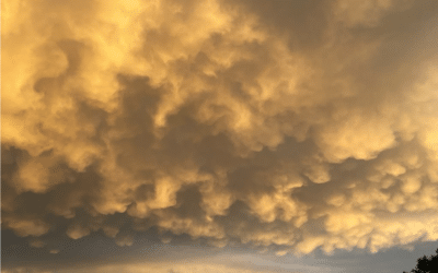 I created a poem for you 🙂